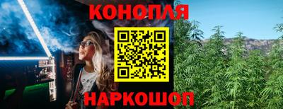 соль ск Можга