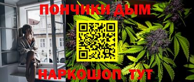 соль ск Можга